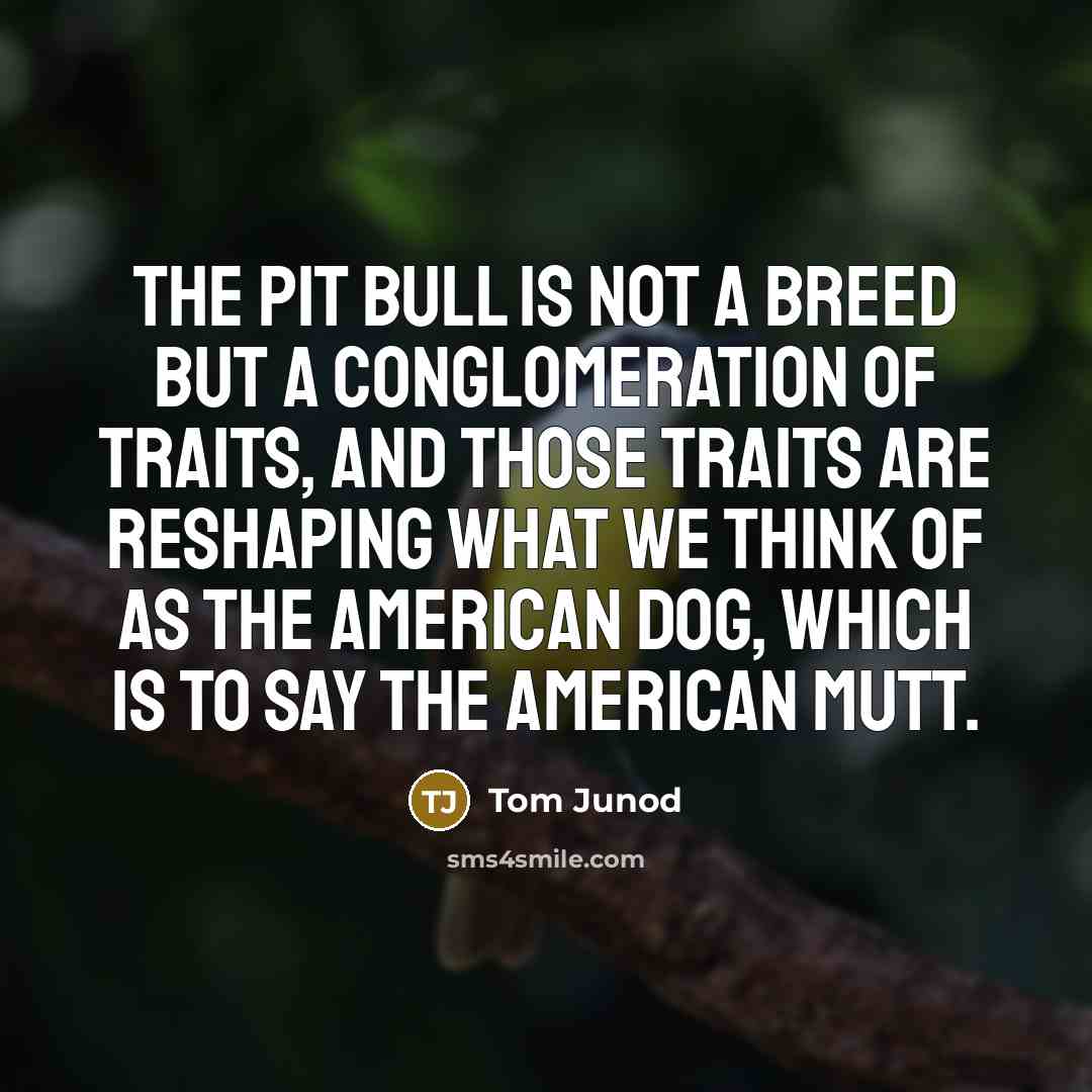 “The pit bull is not a breed but a conglomeration…” quote by Tom Junod