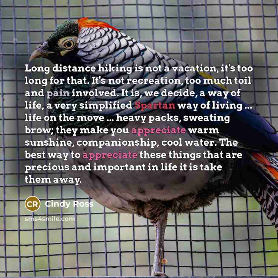 “Long distance hiking is not a vacation, it's too long…” quote by Cindy Ross