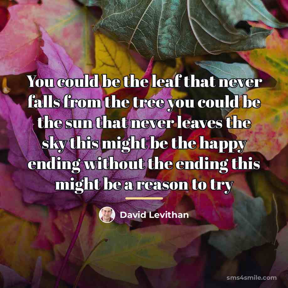 “You could be the leaf that never falls from the…” quote by David Levithan