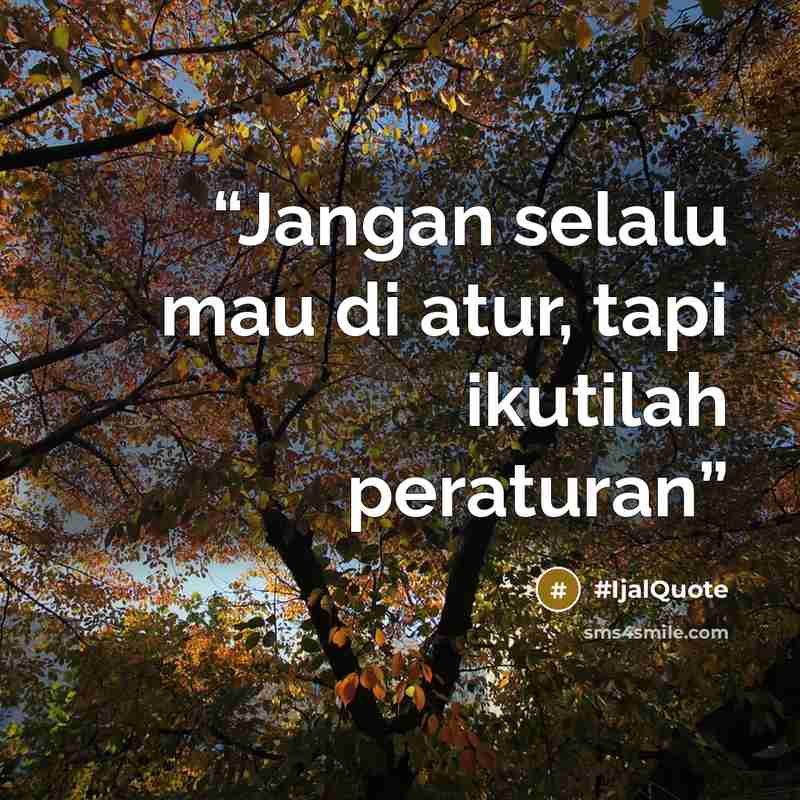“Jangan selalu mau di atur, tapi ikutilah peraturan” quote by #IjalQuote