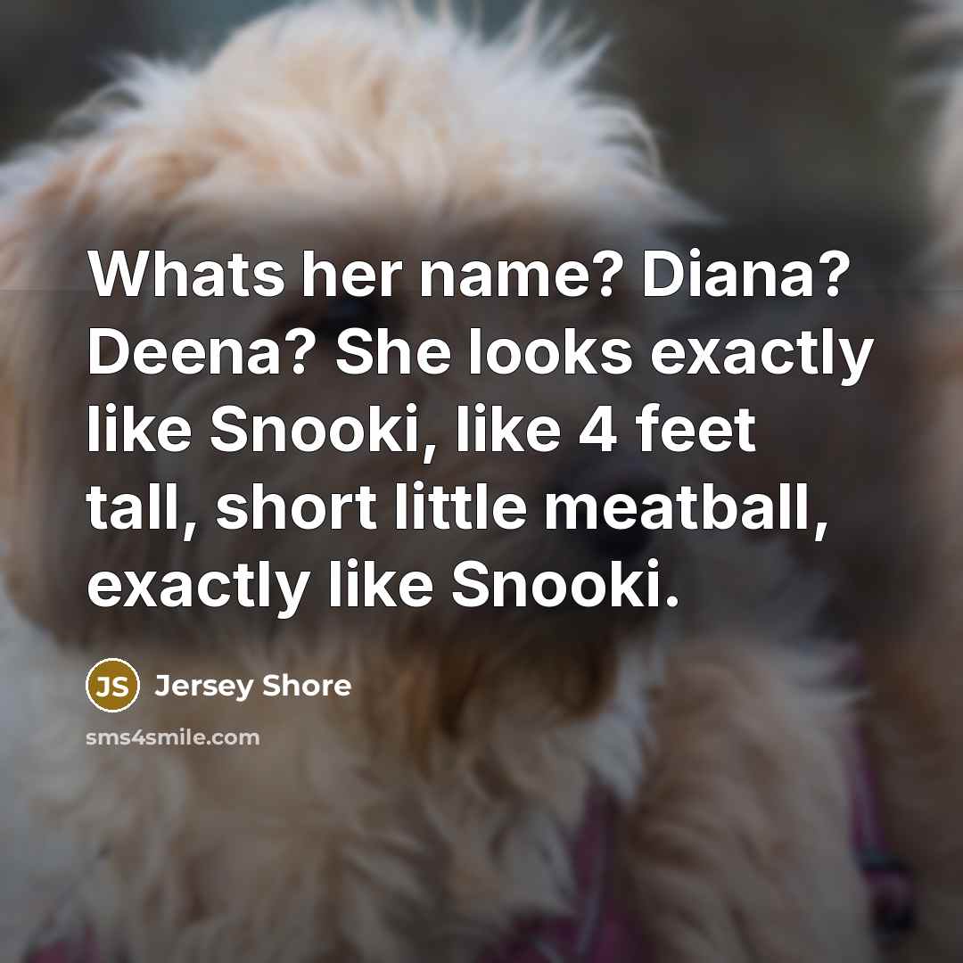 “Whats her name? Diana? Deena? She looks exactly like Snooki,…” quote by Jersey Shore