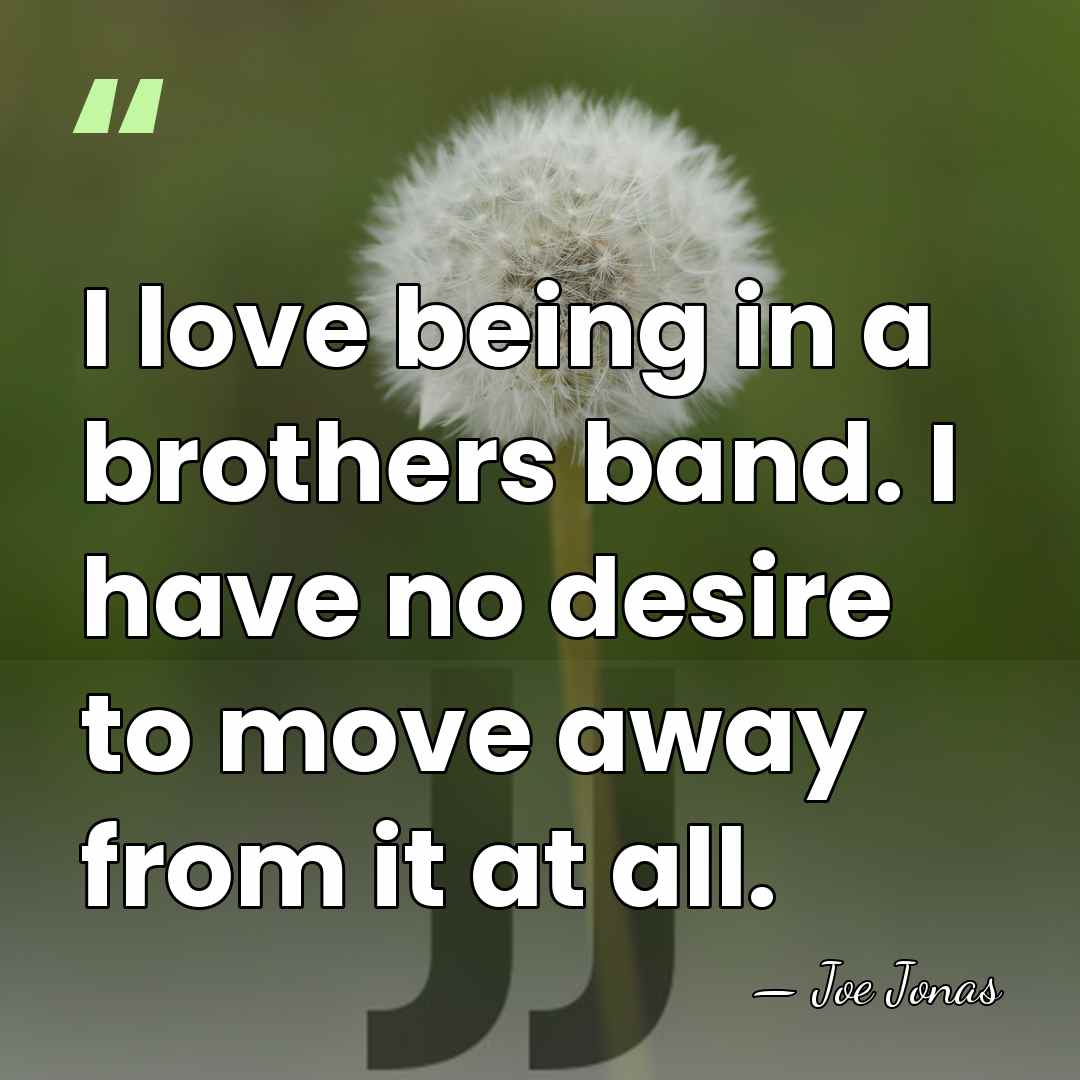 I love being in a brothers band. I have no desire to&hellip; - Joe Jonas