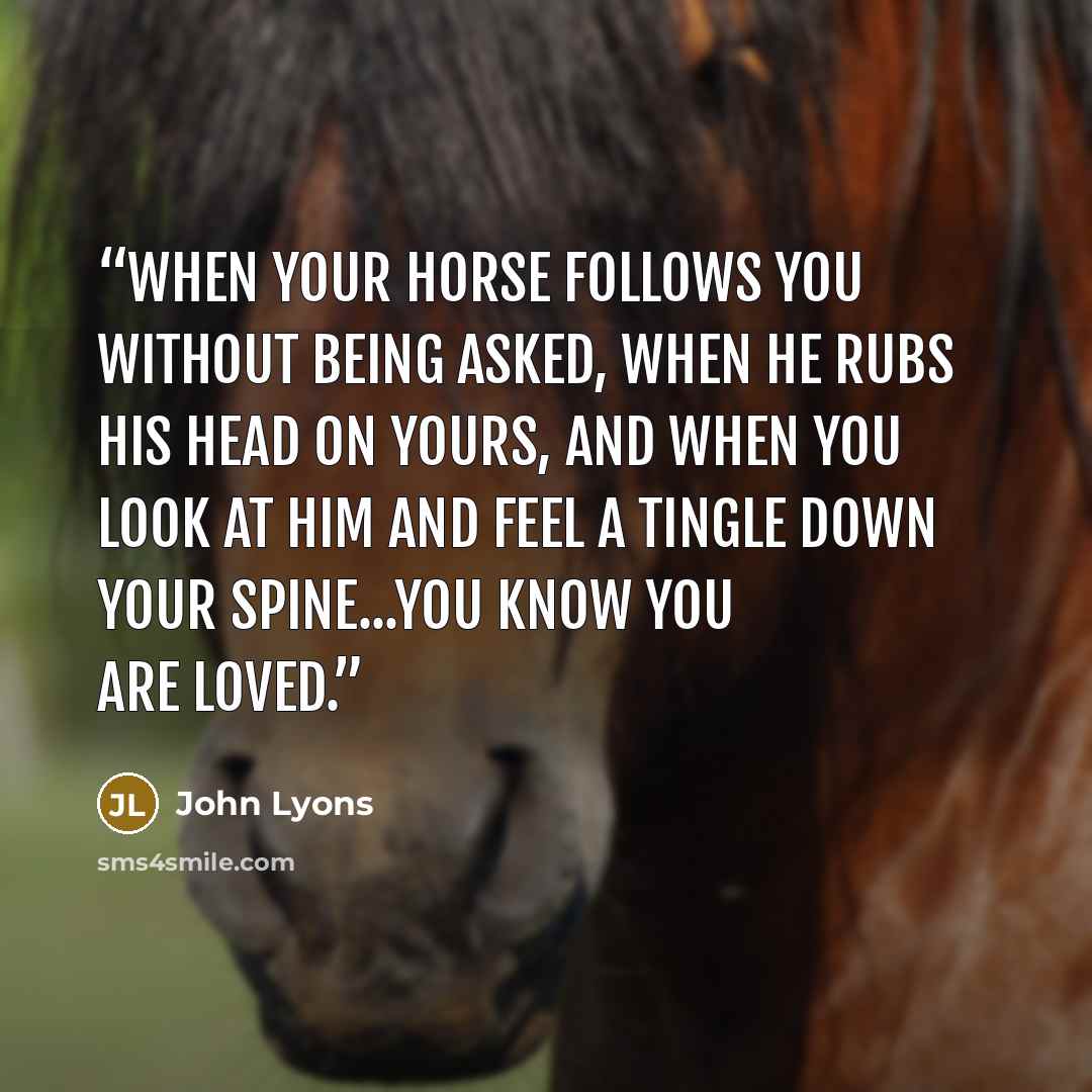 “When your horse follows you without being asked, when he rubs his head on yours, and when you look at him and feel a tingle down your spine...you know you are loved.” quote by John Lyons