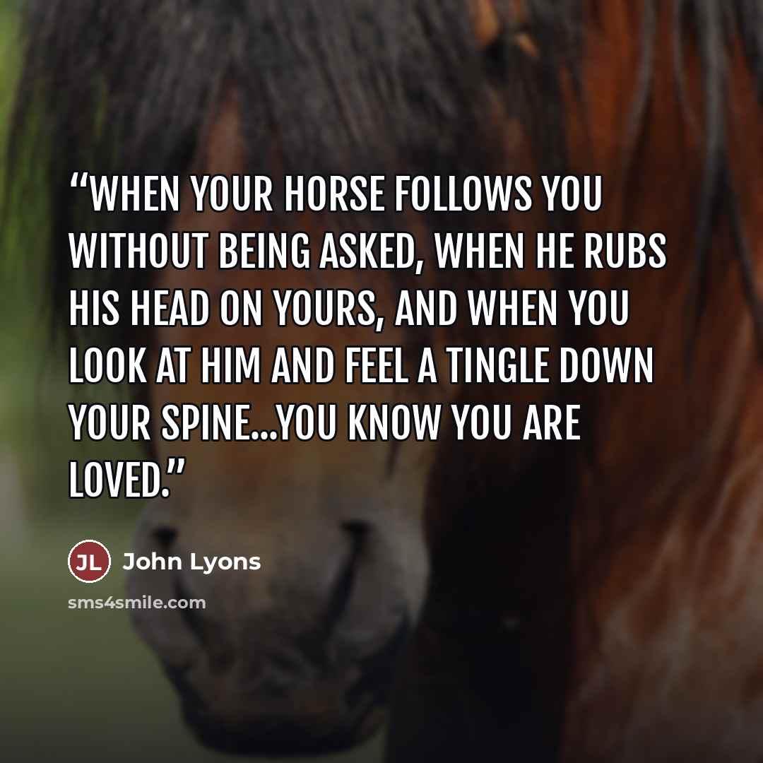 “When your horse follows you without being asked, when he rubs his head on yours, and when you look at him and feel a tingle down your spine...you know you are loved.” quote by John Lyons
