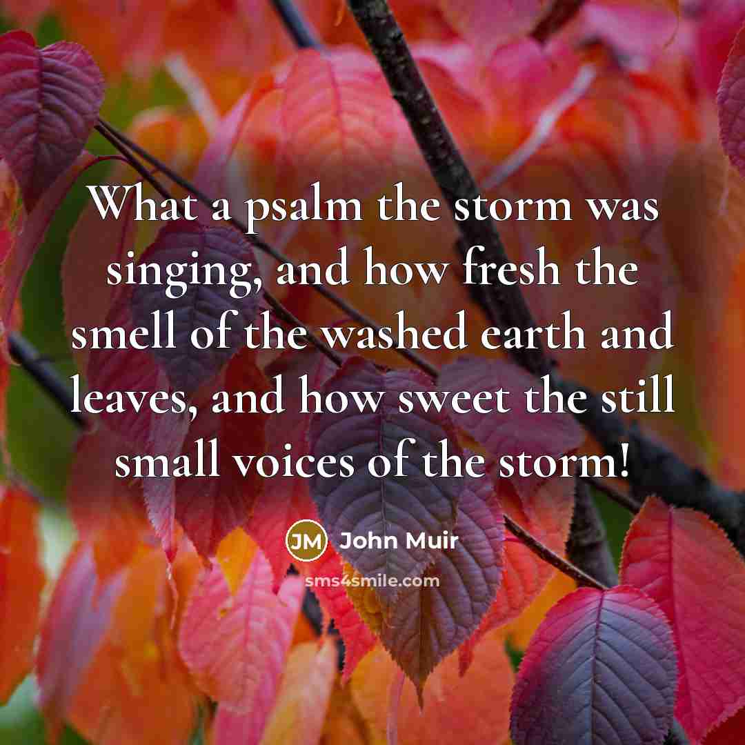 “What a psalm the storm was singing, and how fresh…” quote by John Muir