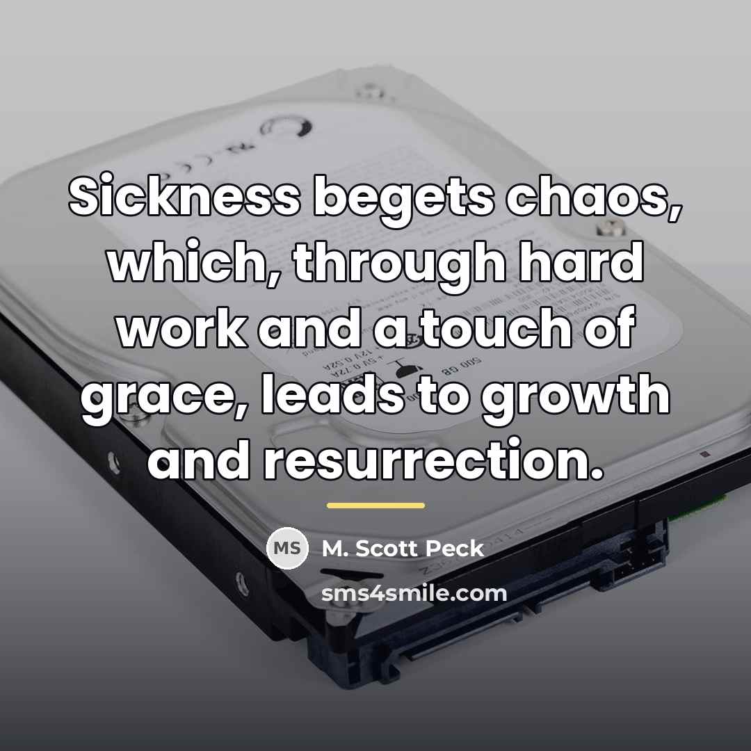 “Sickness begets chaos, which, through hard work and a touch…” quote by M. Scott Peck