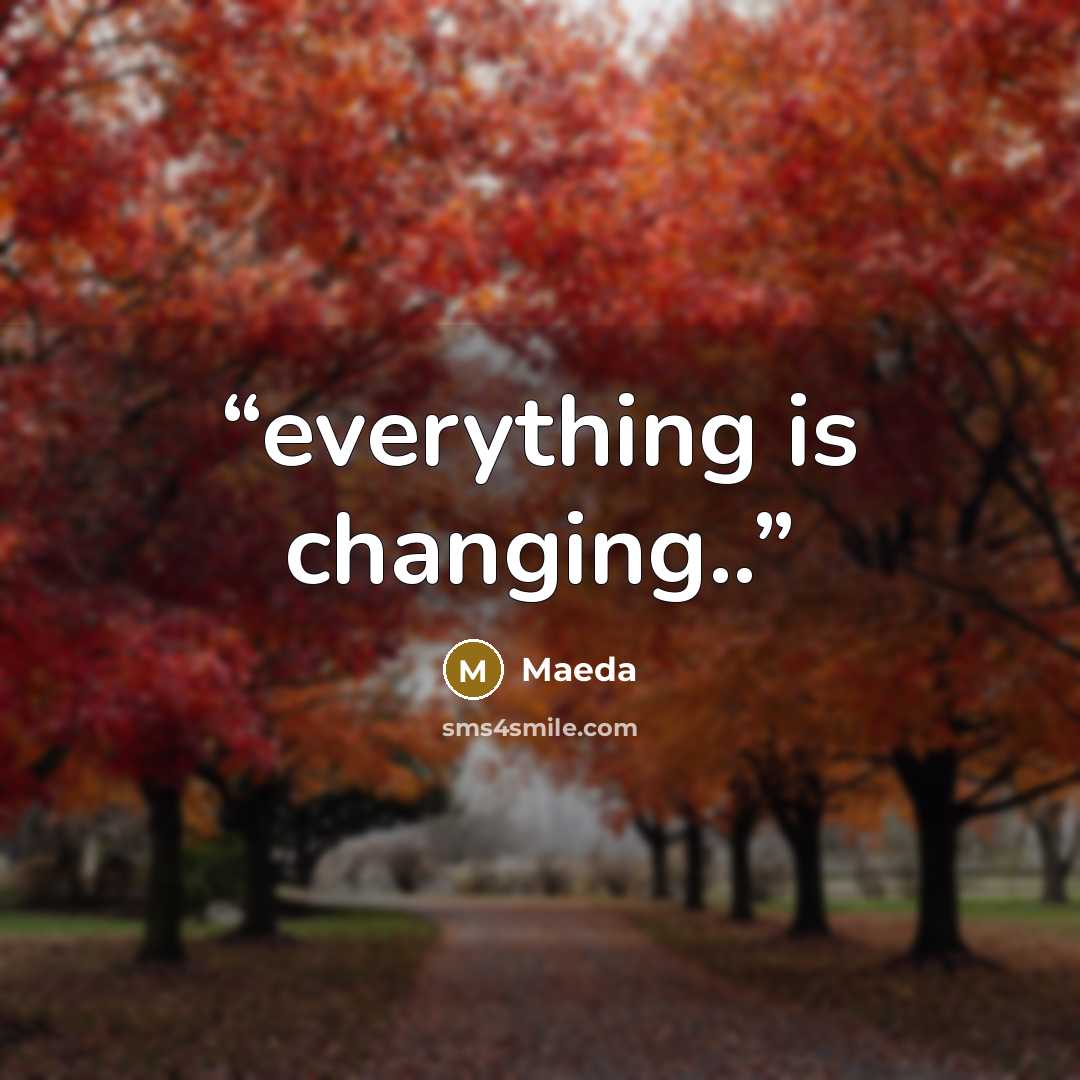 “everything is changing..” quote by Maeda