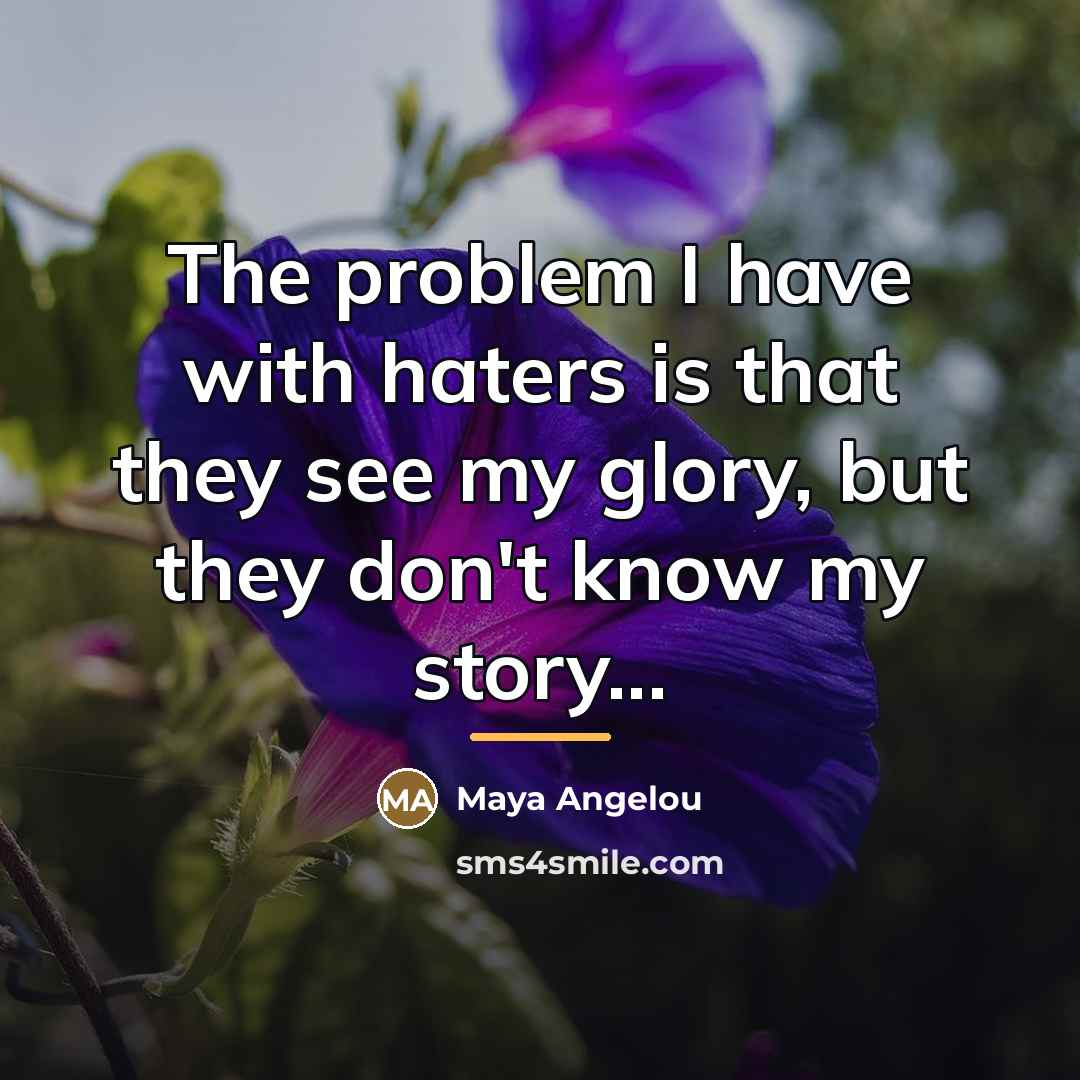 “The problem I have with haters is that they see…” quote by Maya Angelou