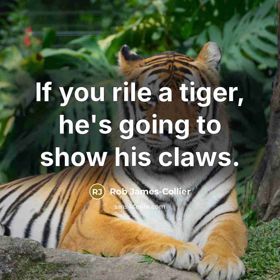 “If you rile a tiger, he's going to show his…” quote by Rob James-Collier