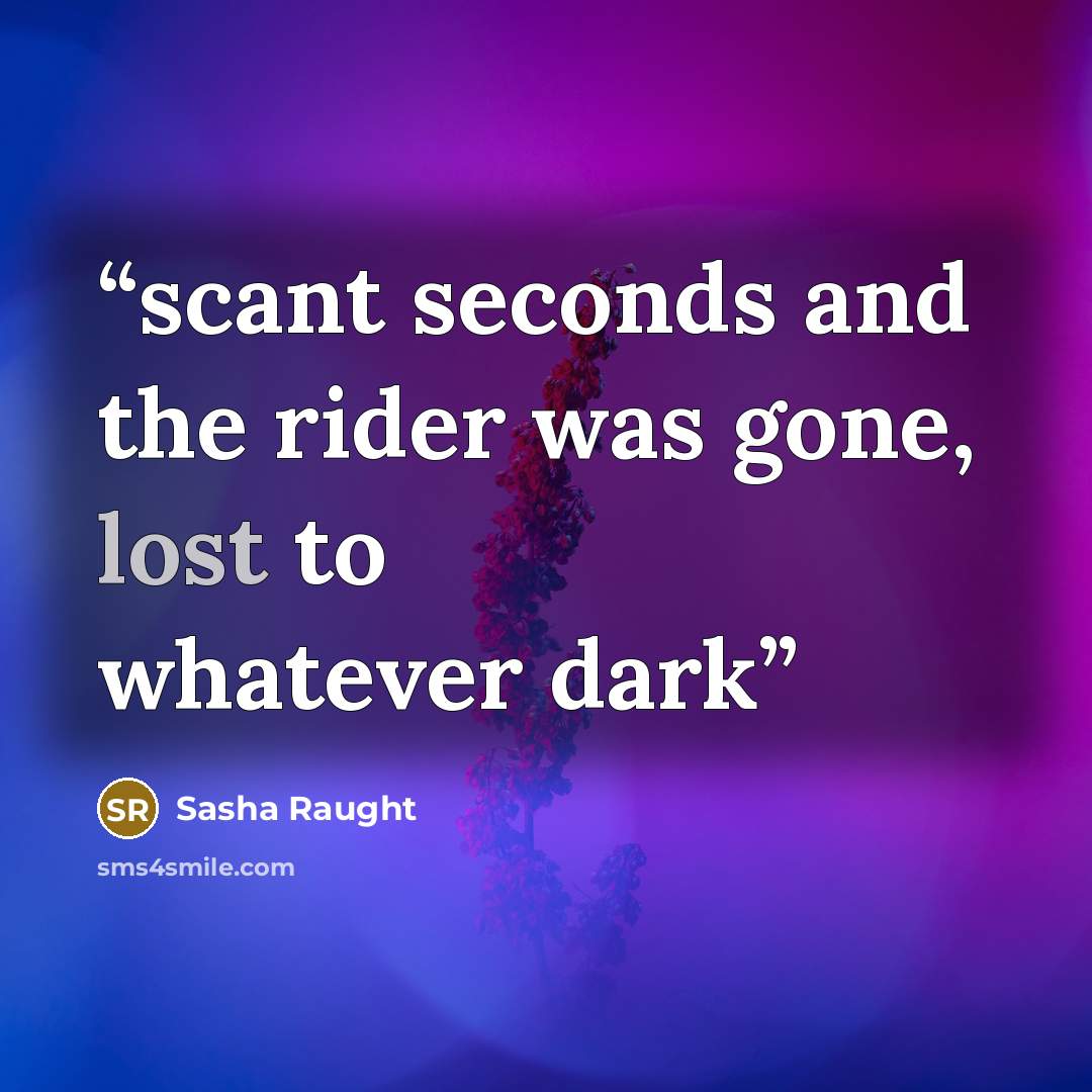 “scant seconds and the rider was gone, lost to whatever dark” quote by Sasha Raught