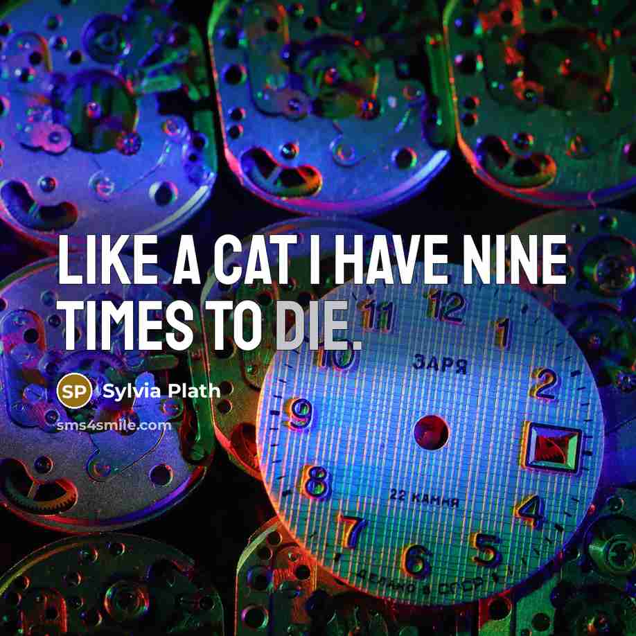 “Like a cat I have nine times to die.…” quote by Sylvia Plath