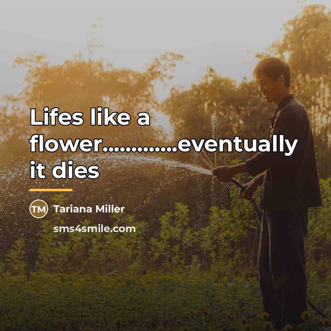 “Lifes like a flower.............eventually it dies…” quote by Tariana Miller