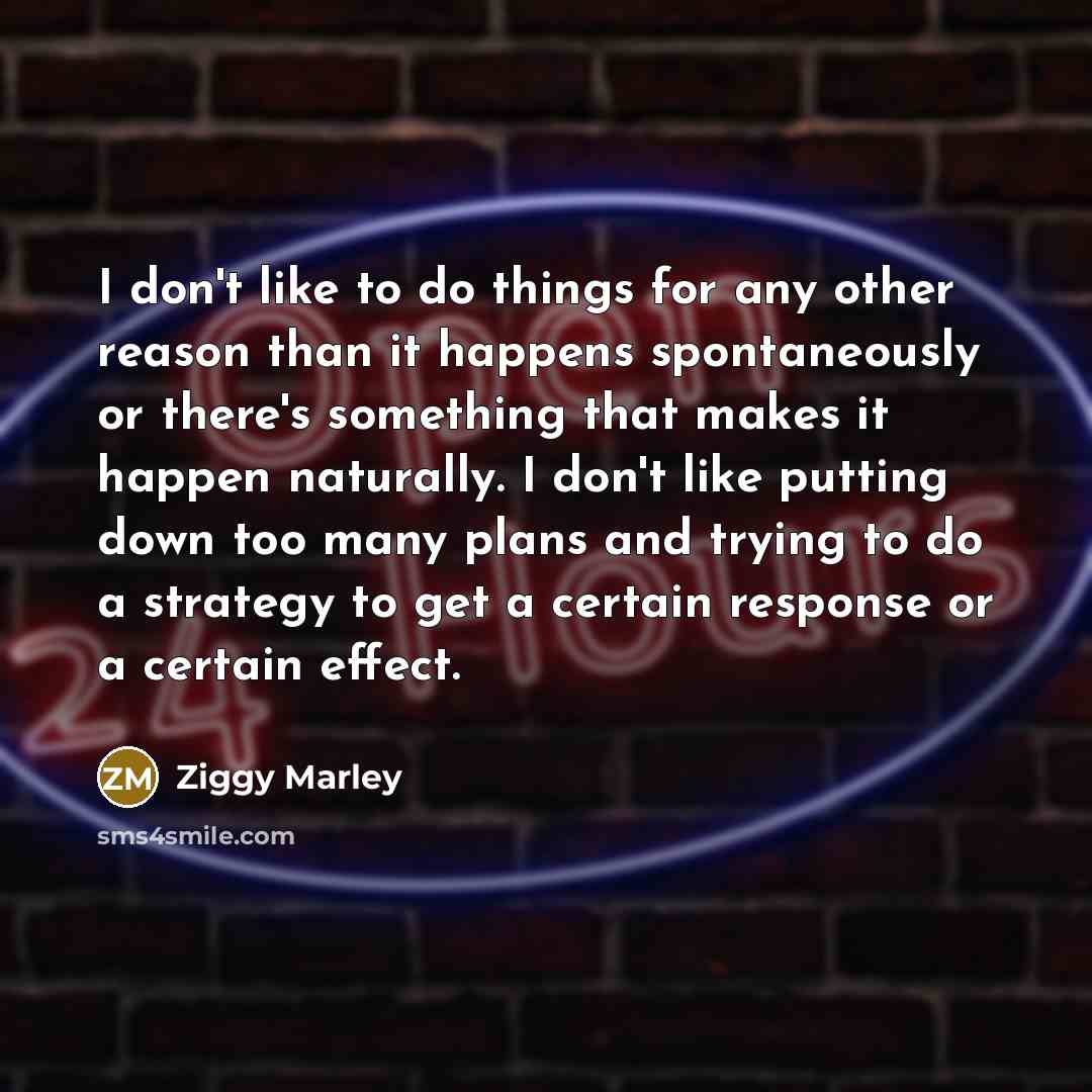 “I don't like to do things for any other reason…” quote by Ziggy Marley