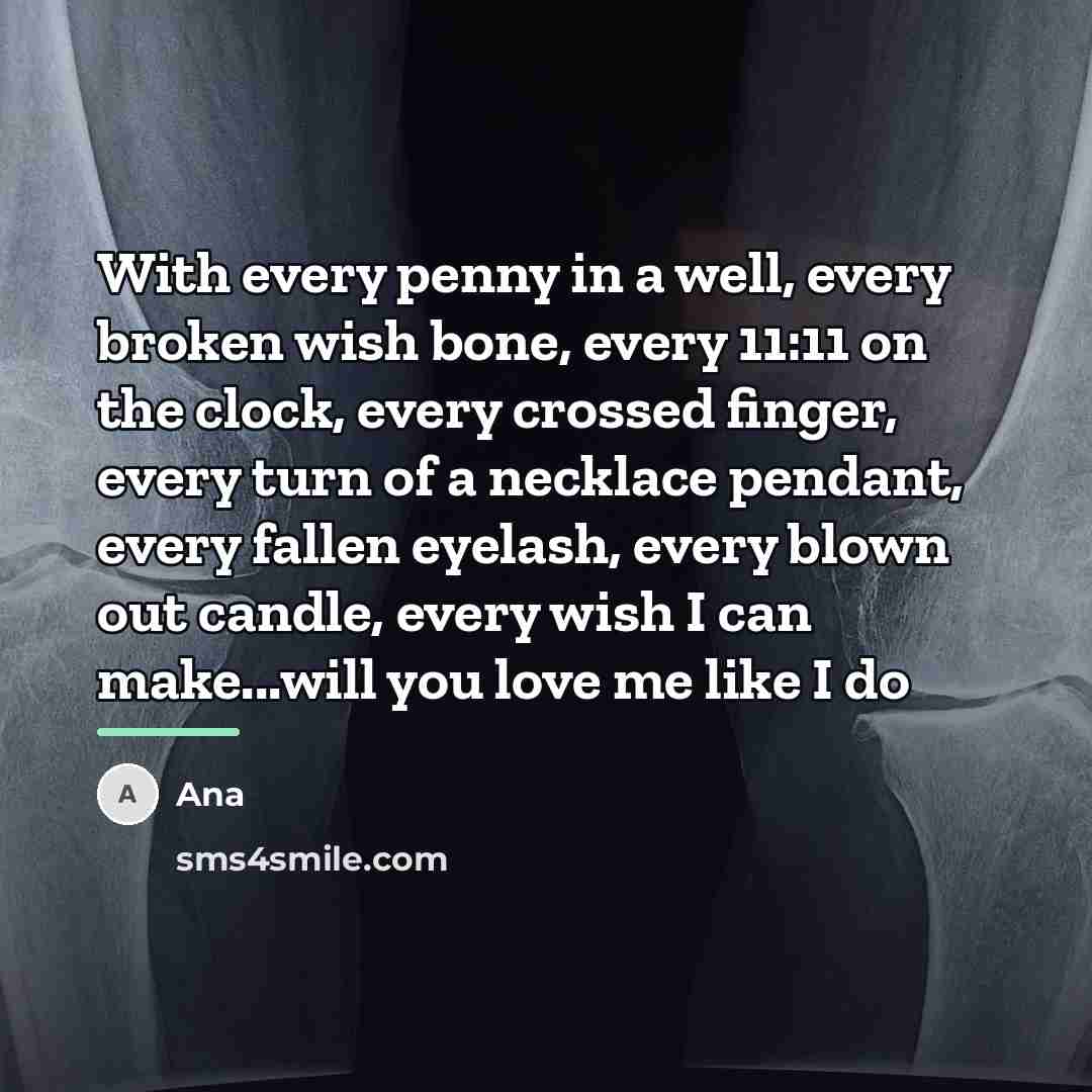 “With every penny in a well, every broken wish bone,…” quote by Ana