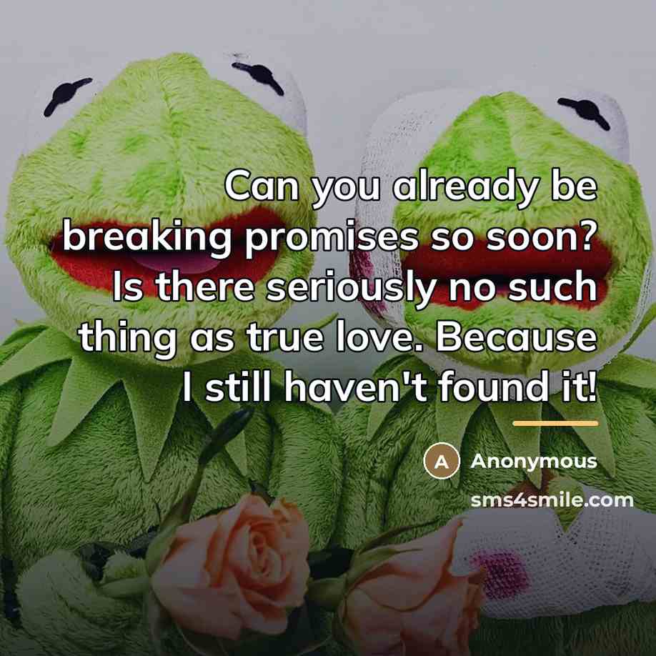 “Can you already be breaking promises so soon? Is there…” quote by Anonymous
