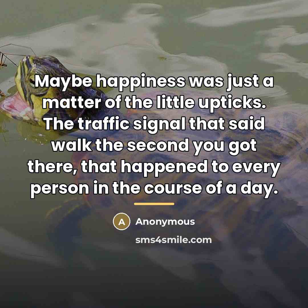 “Maybe happiness was just a matter of the little upticks.…” quote by Anonymous
