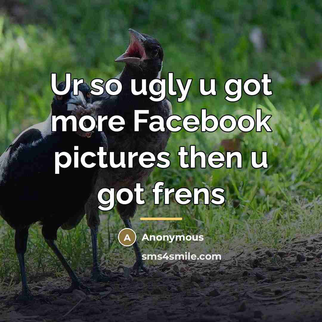 “Ur so ugly u got more Facebook pictures then u…” quote by Anonymous