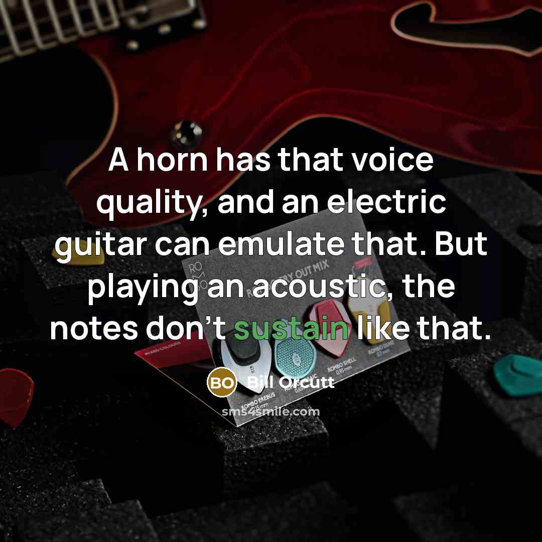“A horn has that voice quality, and an electric guitar…” quote by Bill Orcutt