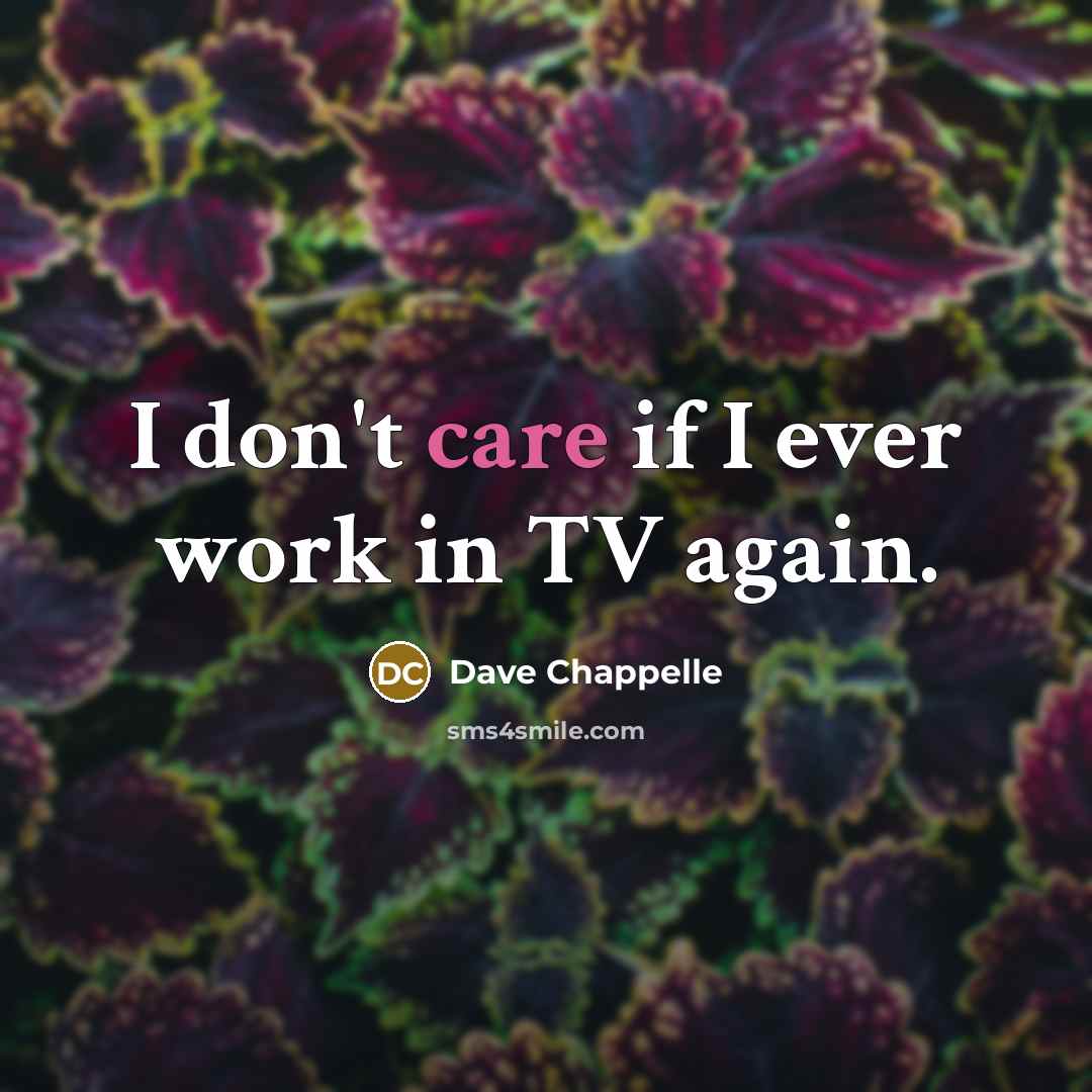 “I don't care if I ever work in TV again.…” quote by Dave Chappelle