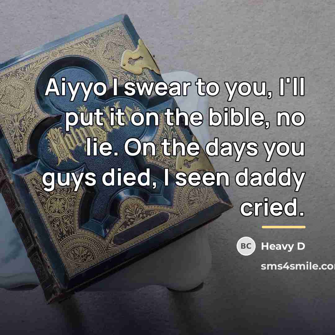 “Aiyyo I swear to you, I'll put it on the…” quote by Heavy D
