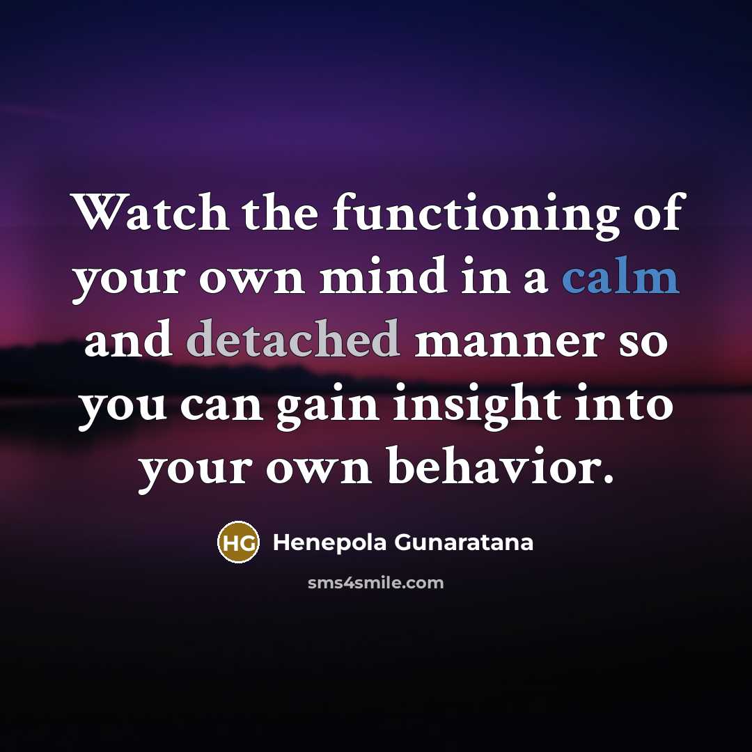 “Watch the functioning of your own mind in a calm…” quote by Henepola Gunaratana