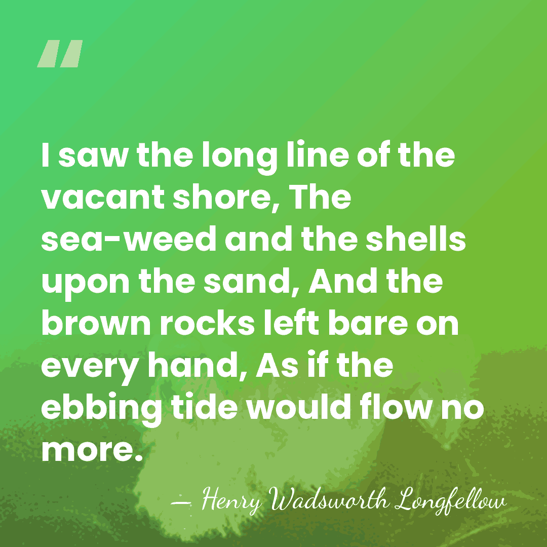 I saw the long line of the vacant shore, The sea-weed and&hellip; - Henry Wadsworth Longfellow