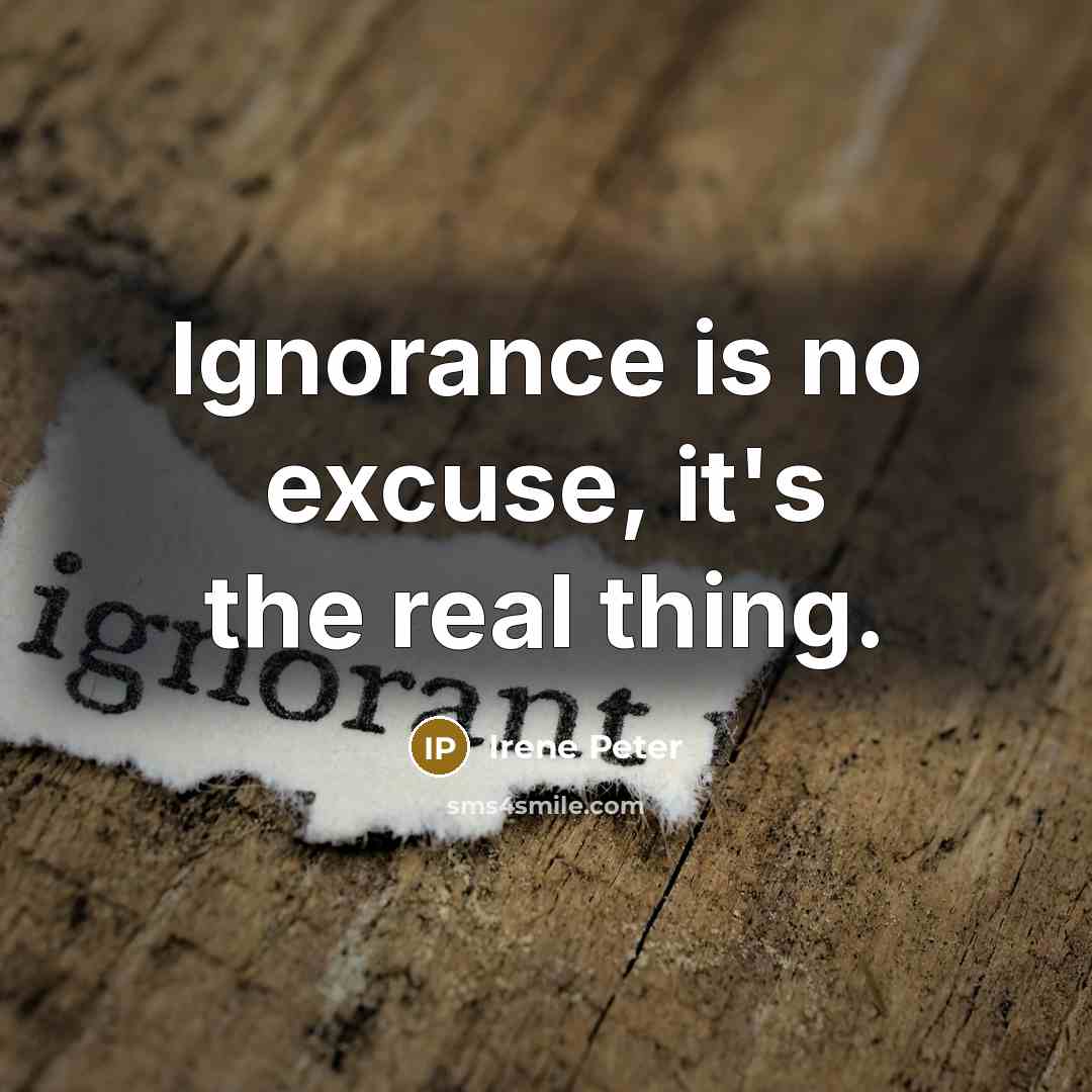“Ignorance is no excuse, it's the real thing.” quote by Irene Peter