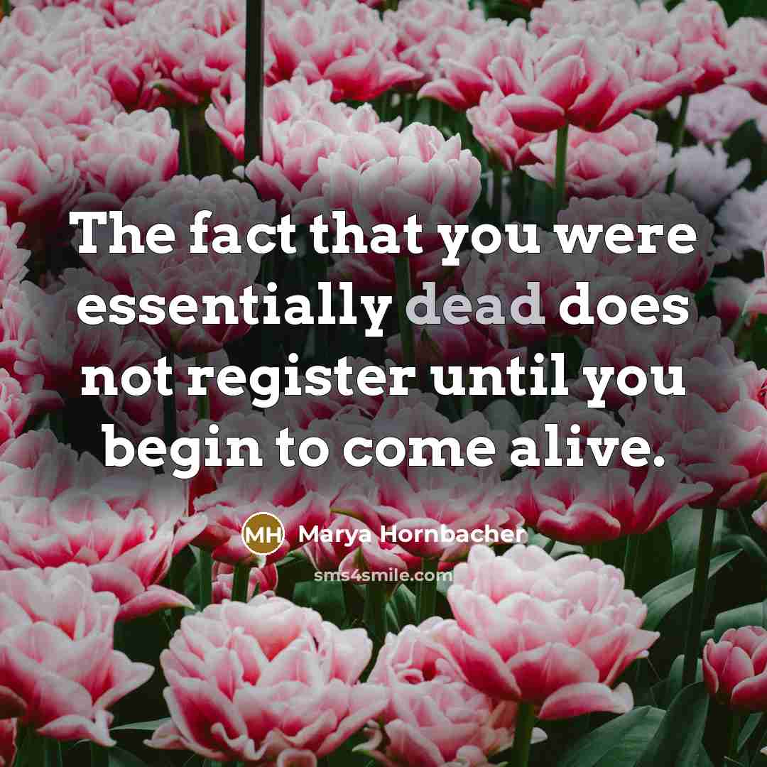 “The fact that you were essentially dead does not register…” quote by Marya Hornbacher