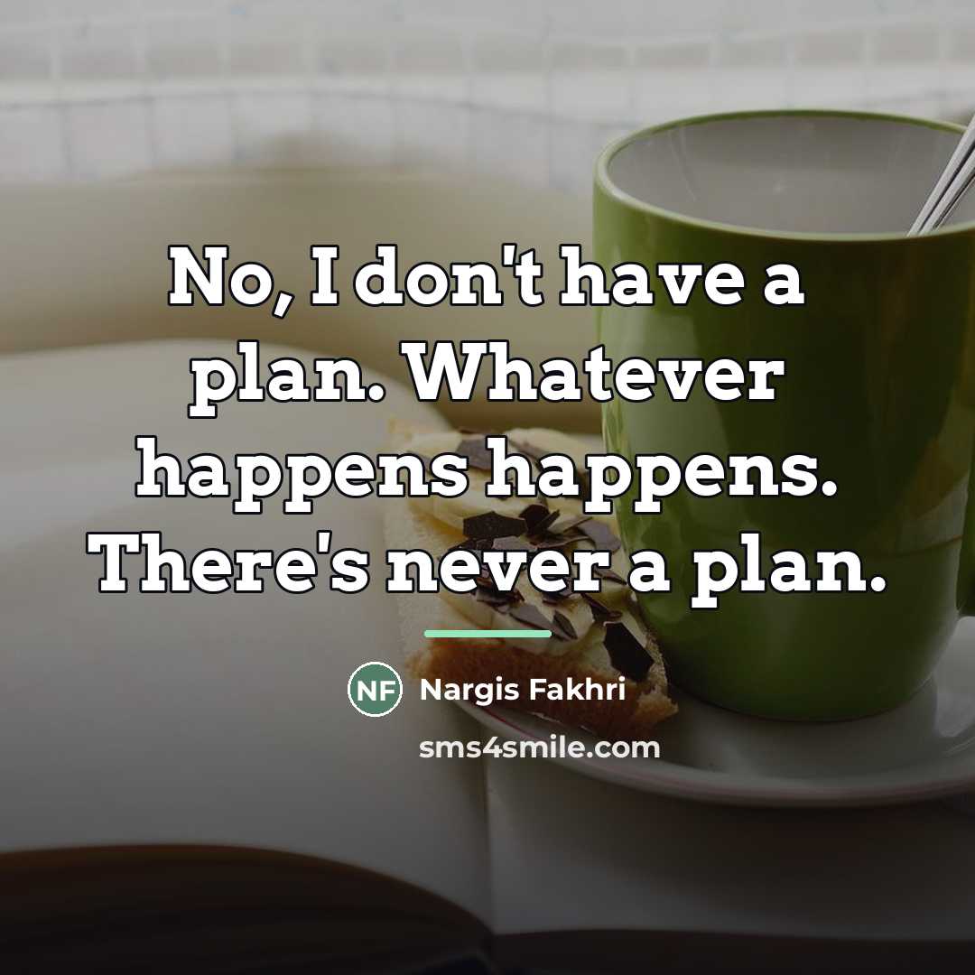 “No, I don't have a plan. Whatever happens happens. There's…” quote by Nargis Fakhri