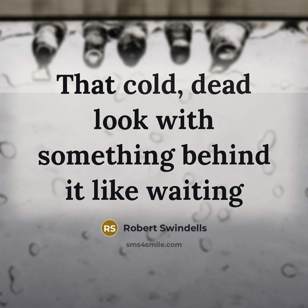 “That cold, dead look with something behind it like waiting” quote by Robert Swindells