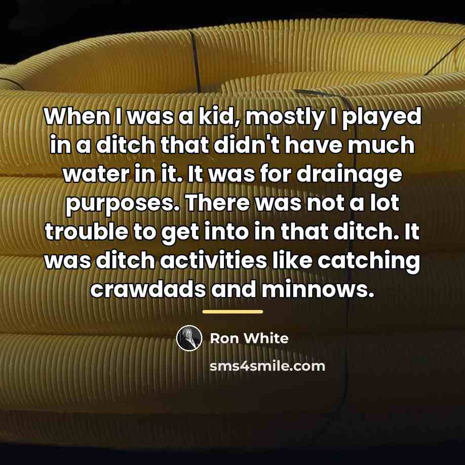 “When I was a kid, mostly I played in a…” quote by Ron White
