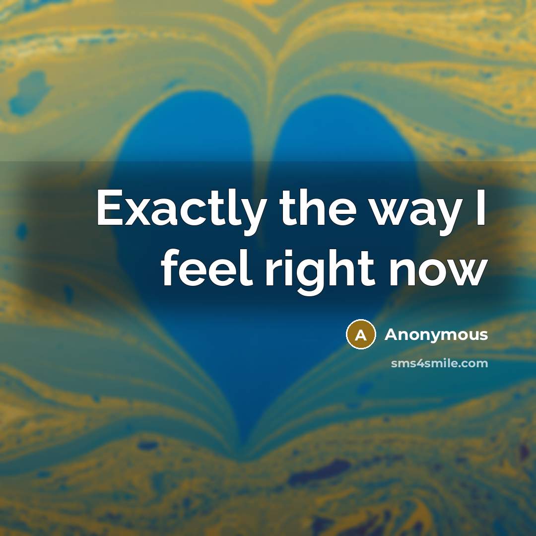 “Exactly the way I feel right now…” quote by Anonymous
