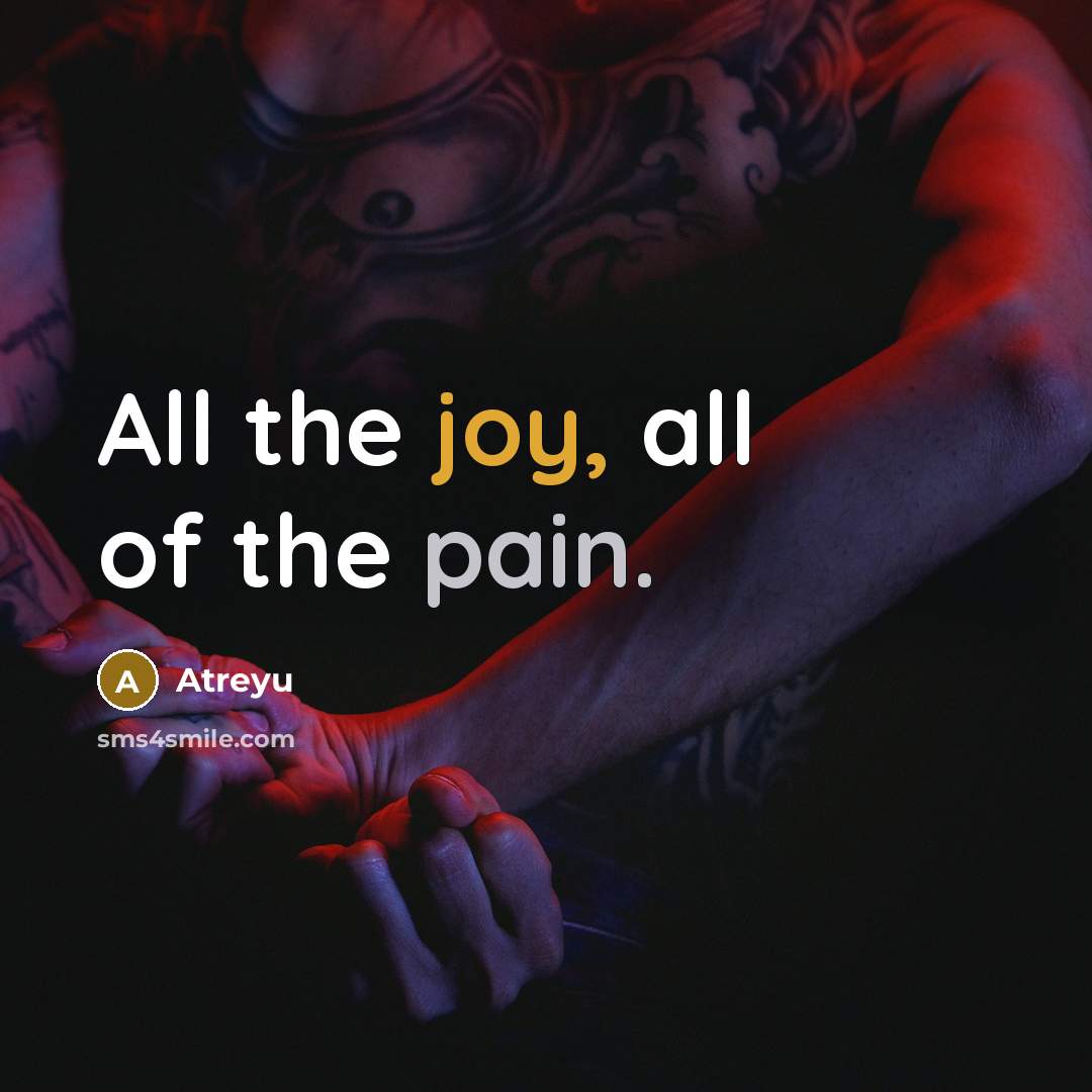 “All the joy, all of the pain.…” quote by Atreyu
