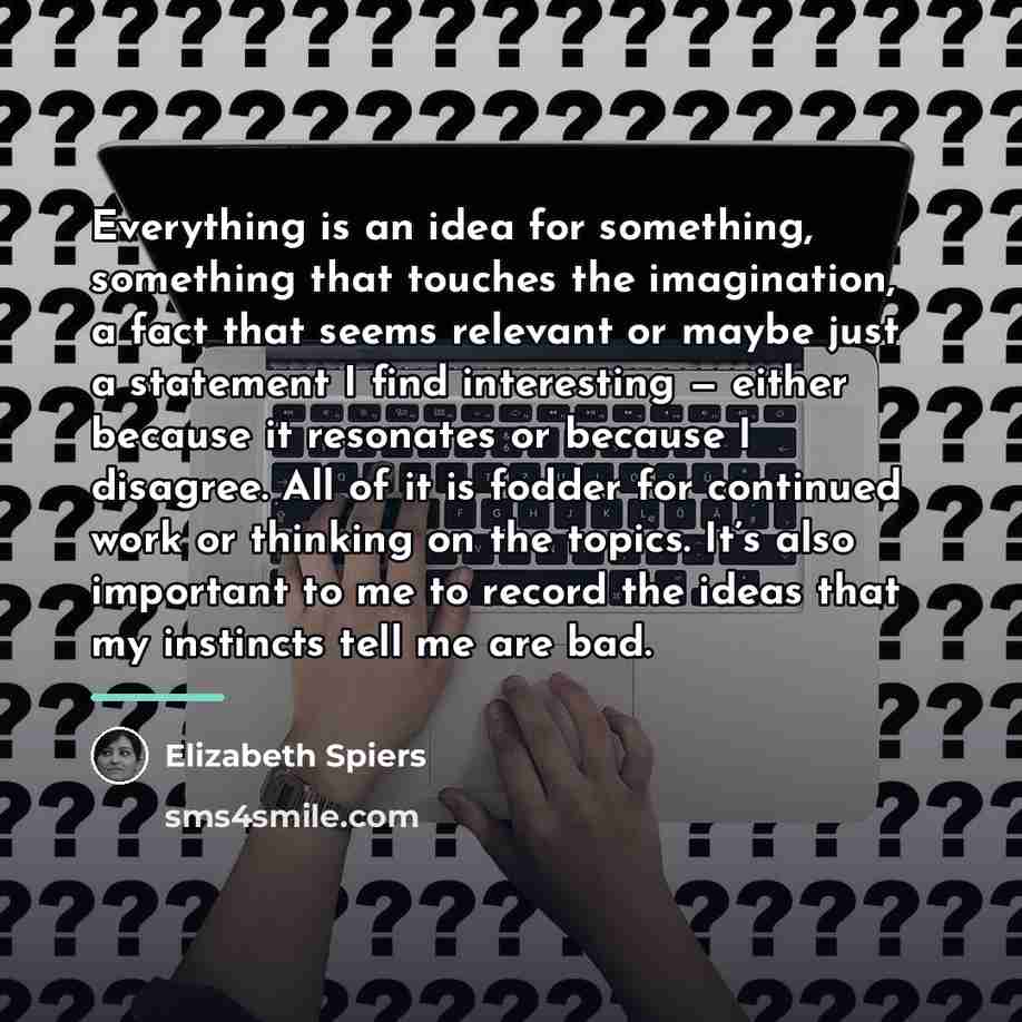“Everything is an idea for something, something that touches the…” quote by Elizabeth Spiers