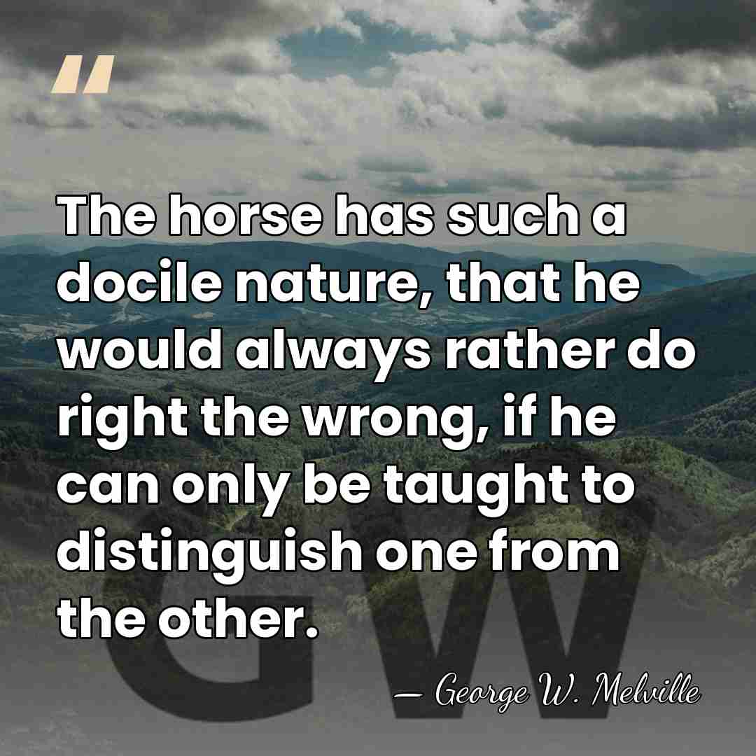 The horse has such a docile nature, that he would always rather&hellip; - George Whyte-Melville