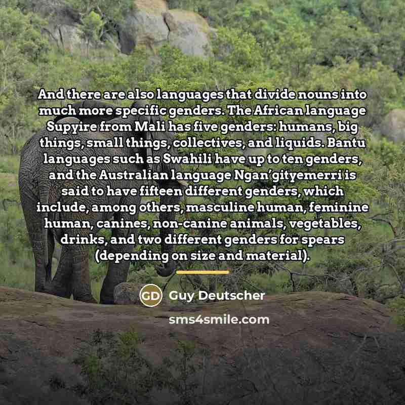 “And there are also languages that divide nouns into much…” quote by Guy Deutscher