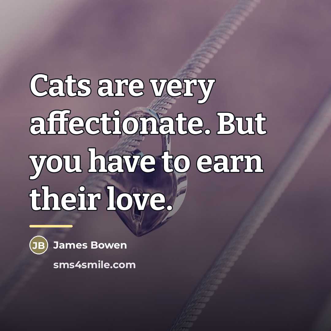 “Cats are very affectionate. But you have to earn their…” quote by James Bowen