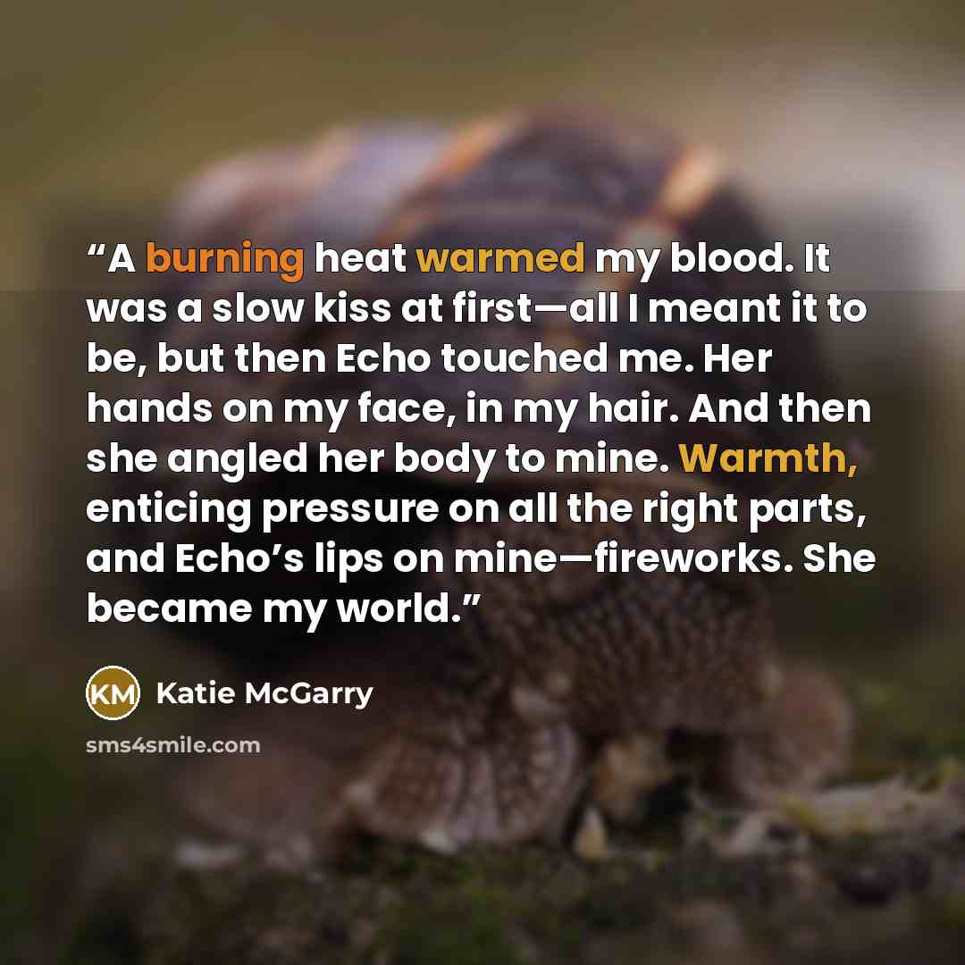 “A burning heat warmed my blood. It was a slow kiss at first—all I meant it to be, but then Echo touched me. Her hands on my face, in my hair. And then she angled her body to mine. Warmth, enticing pressure on all the right parts, and Echo’s lips on mine—fireworks. She became my world.” quote by Katie McGarry