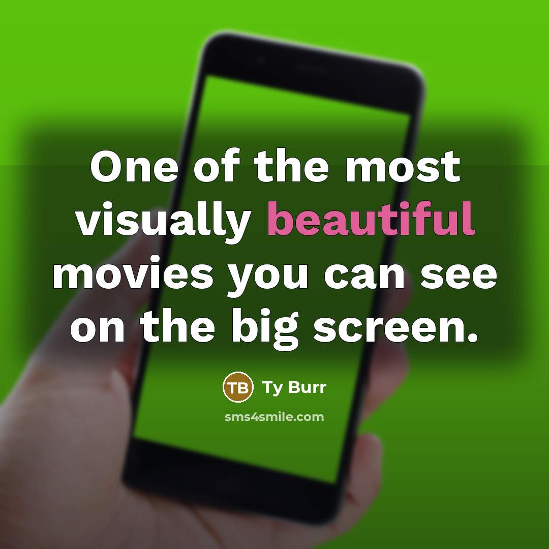 “One of the most visually beautiful movies you can see…” quote by Ty Burr