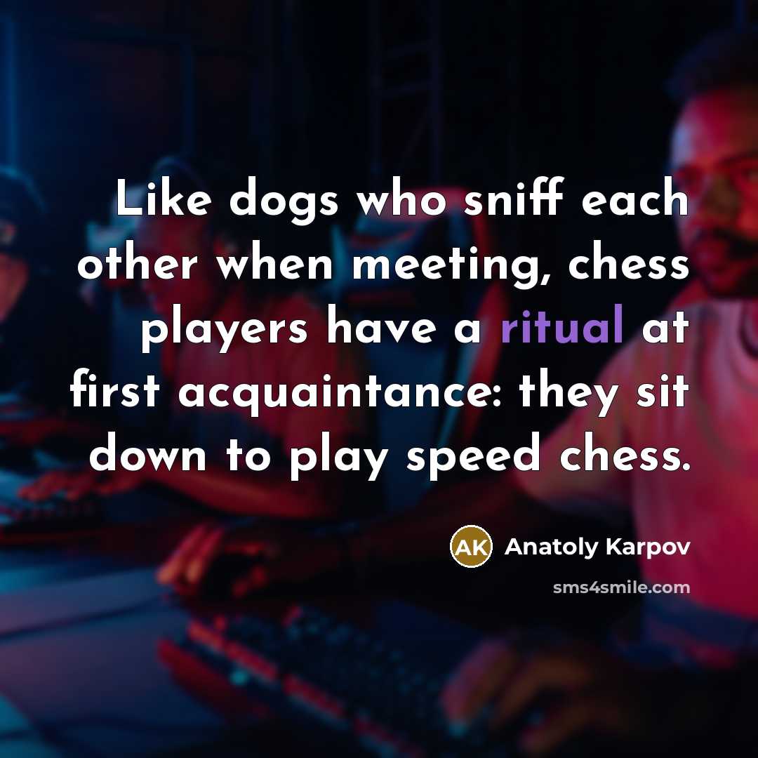 “Like dogs who sniff each other when meeting, chess players…” quote by Anatoly Karpov