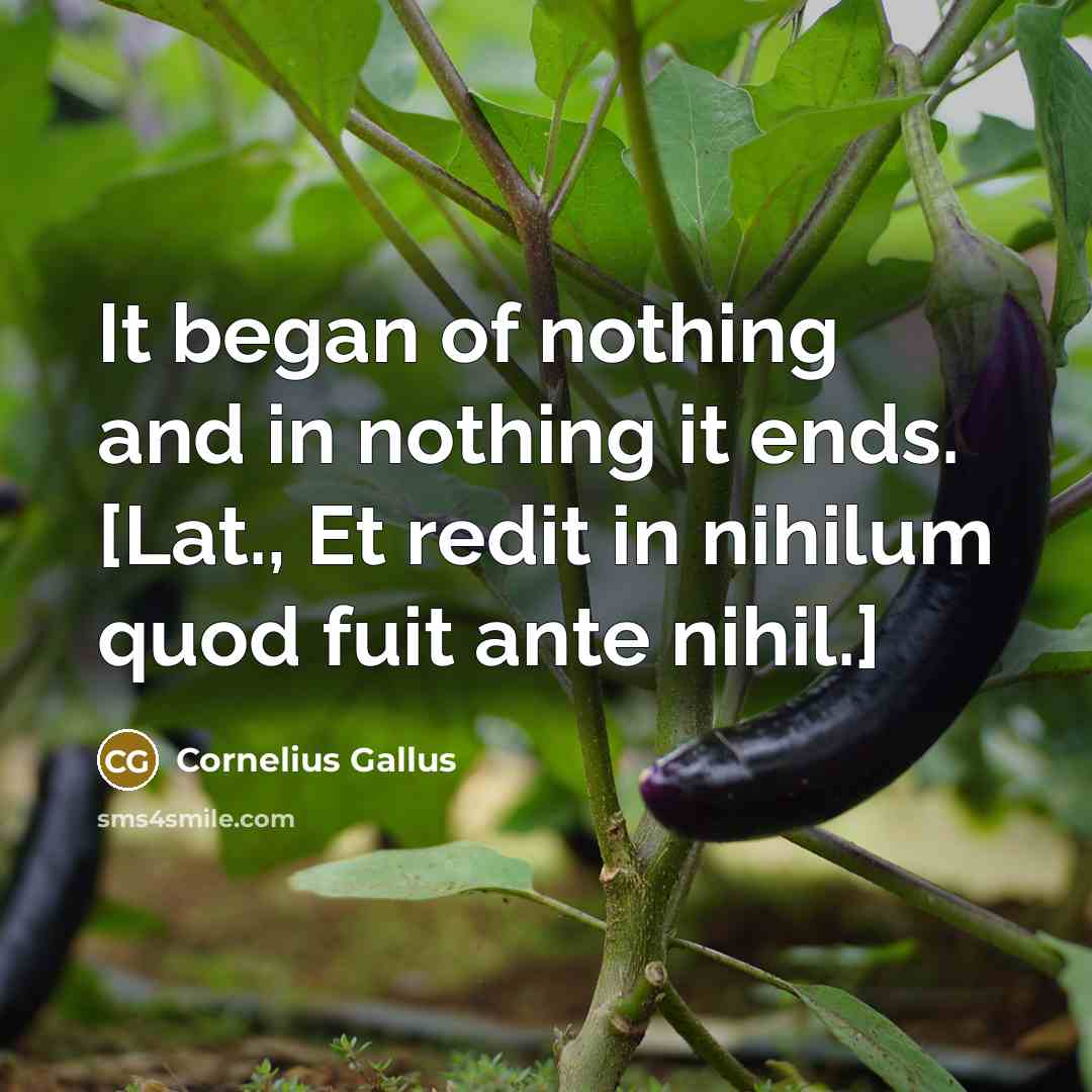“It began of nothing and in nothing it ends. [Lat., Et redit in nihilum quod fuit ante nihil.]” quote by Cornelius Gallus
