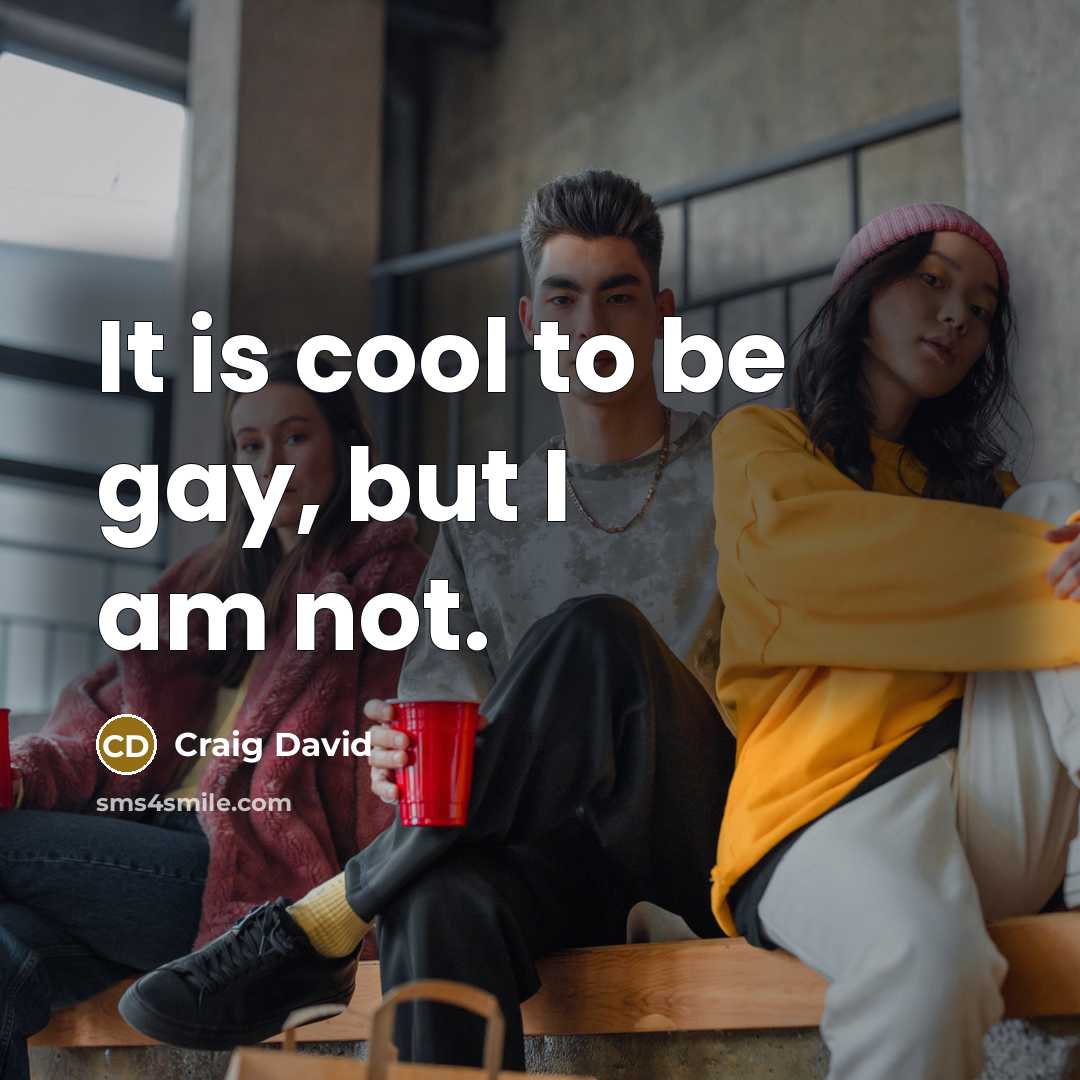 “It is cool to be gay, but I am not.…” quote by Craig David