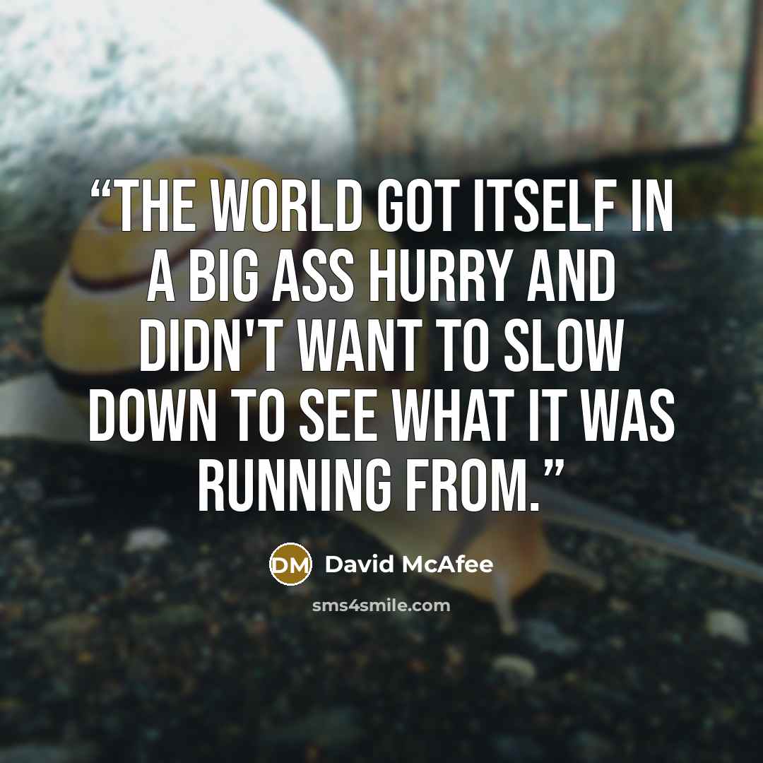 “The world got itself in a big ass hurry and didn't want to slow down to see what it was running from.” quote by David McAfee