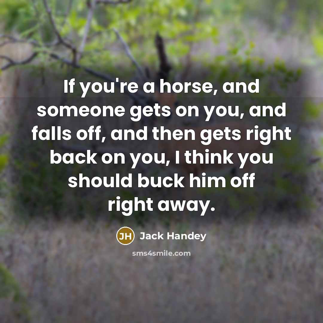 “If you're a horse, and someone gets on you, and falls off, and then gets right back on you, I think you should buck him off right away.” quote by Jack Handey