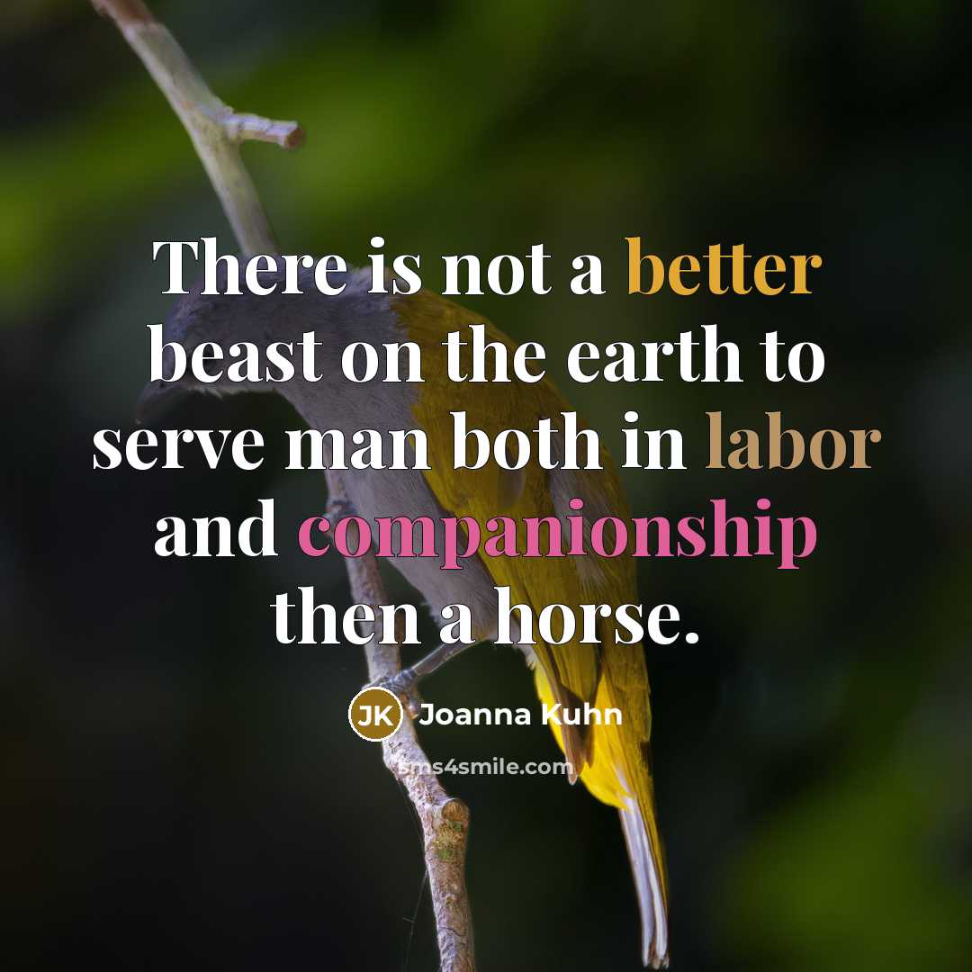 “There is not a better beast on the earth to serve man both in labor and companionship then a horse.” quote by Joanna Kuhn