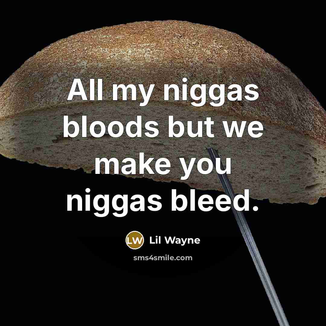 “All my niggas bloods but we make you niggas bleed.…” quote by Lil Wayne
