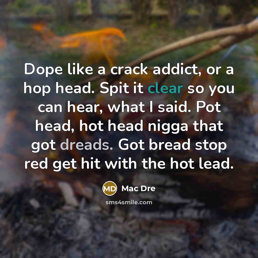 “Dope like a crack addict, or a hop head. Spit it clear so you can hear, what I said. Pot head, hot head nigga that got dreads. Got bread stop red get hit with the hot lead.” quote by Mac Dre