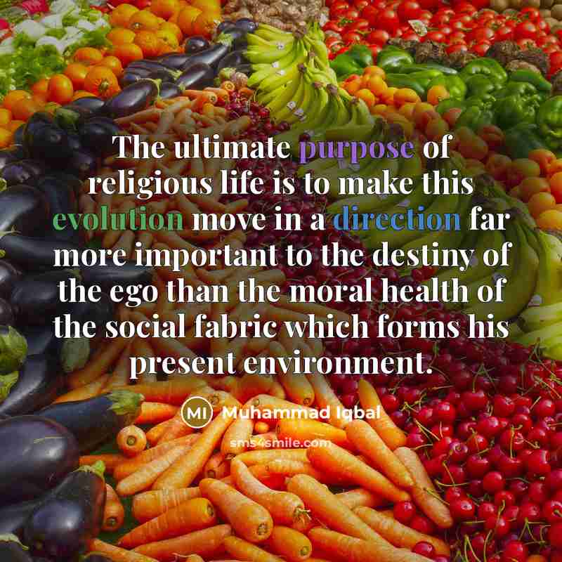 “The ultimate purpose of religious life is to make this…” quote by Muhammad Iqbal