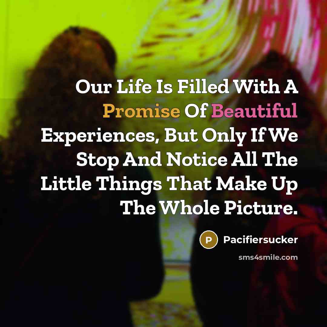“Our Life Is Filled With A Promise Of Beautiful Experiences,…” quote by Pacifiersucker