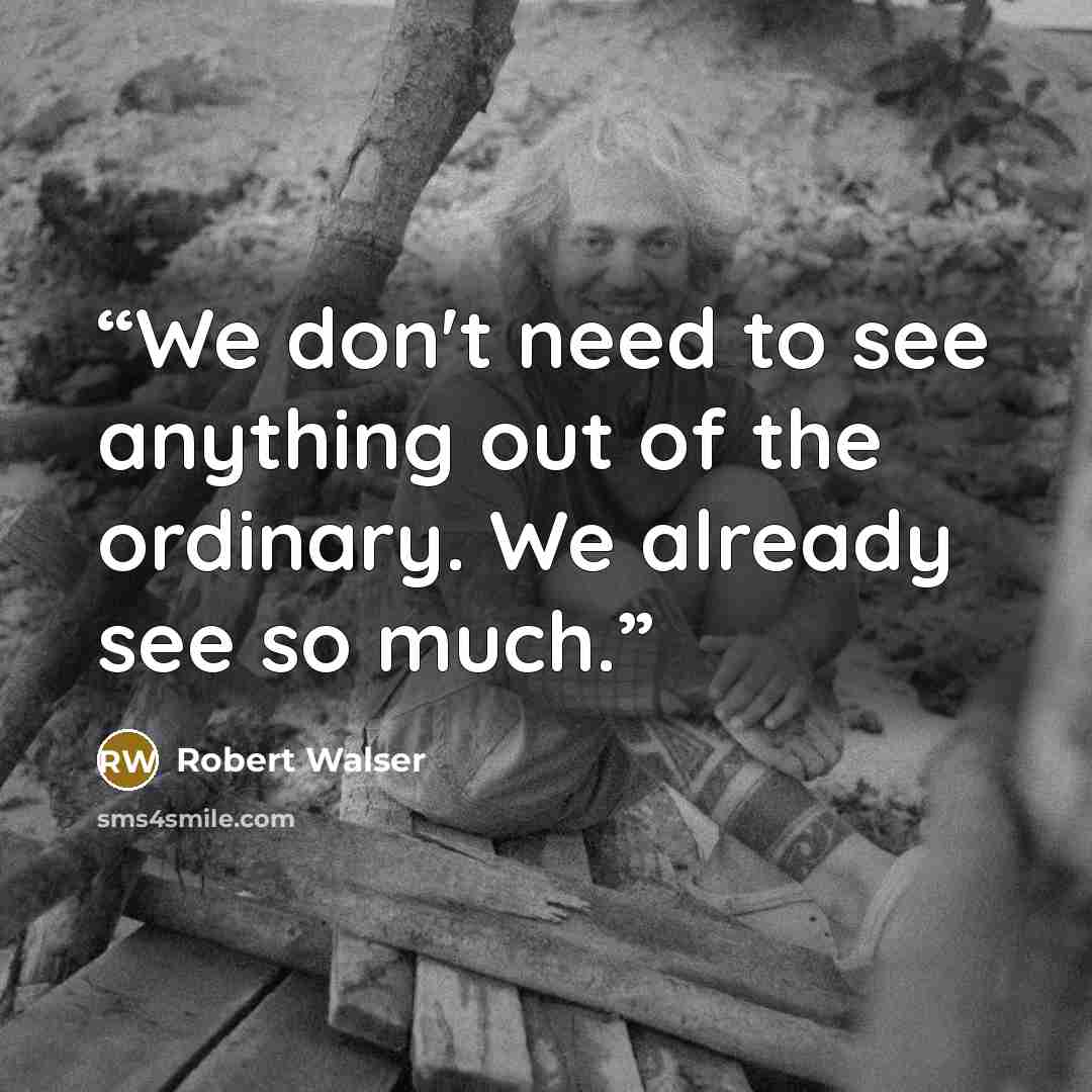 “We don't need to see anything out of the ordinary. We already see so much.” quote by Robert Walser